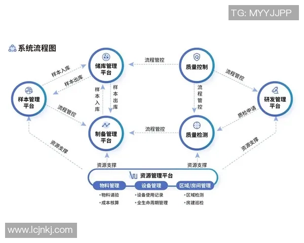 深圳篮球队区域防守革新之路探索与实践分析